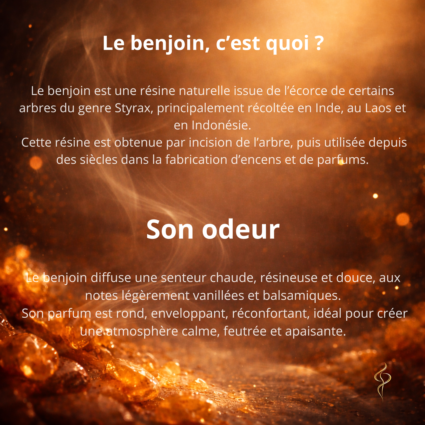 Cônes d'encens à reflux Golden Nag – Benjoin